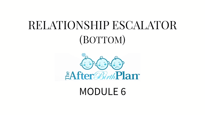 The AfterBirth Plan Module 6
