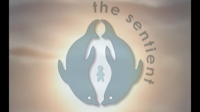 Birth As We Know It Trailer