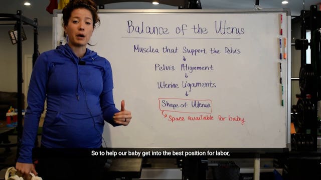 8 - Balance of Uterus