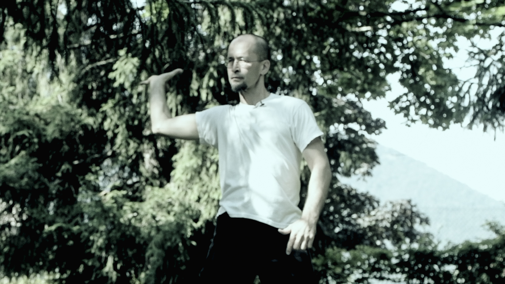 Yang Sheng Gong: Tu Gu Na Xin & Circulation