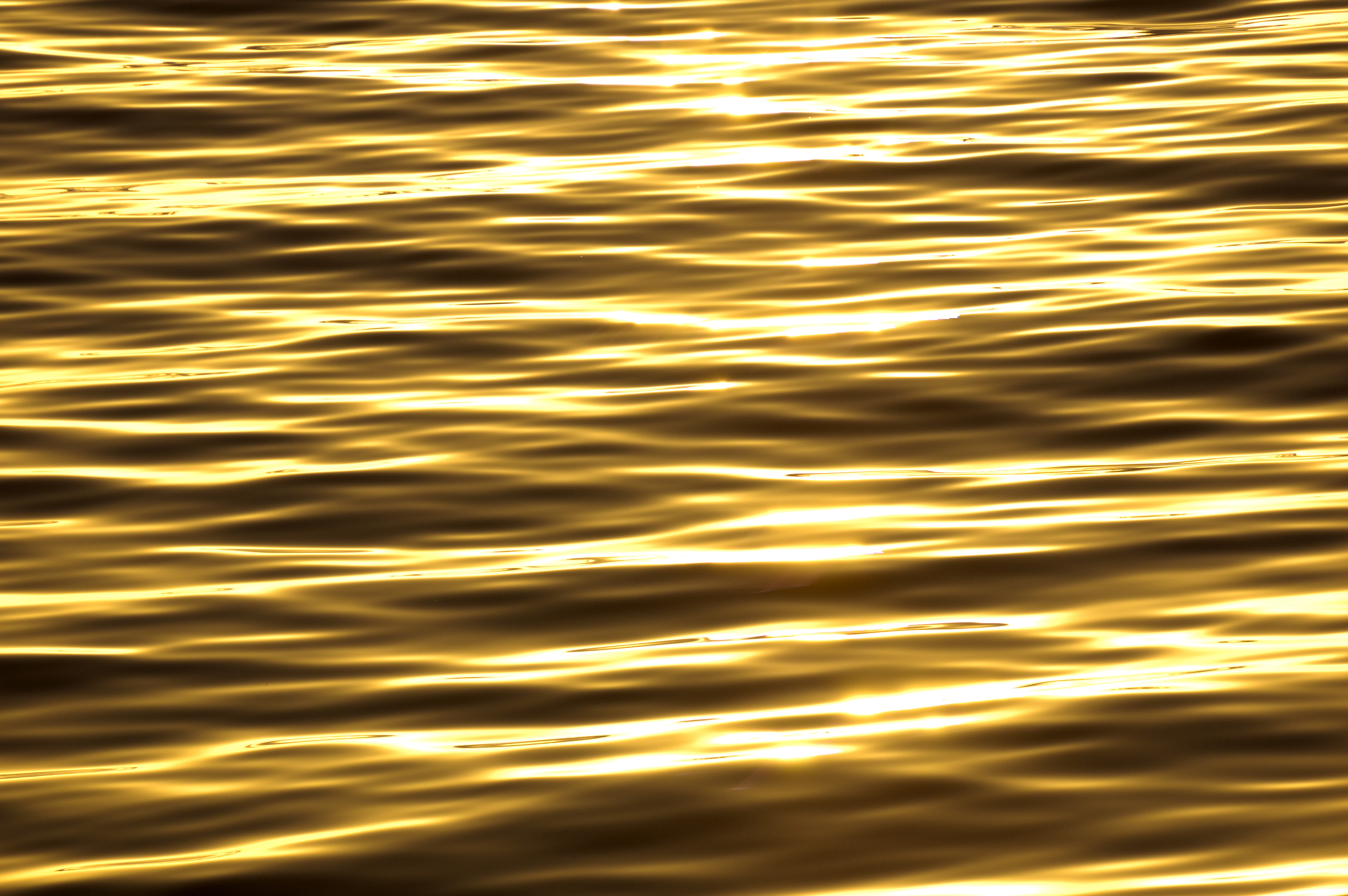 Clarity: Breath, Belly, Face & Ground