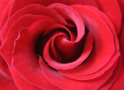 Embrace: Breath, Back of Navel, Heart 