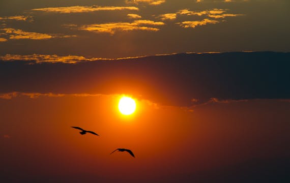 Coming Home: Breath, Navel, Heart 