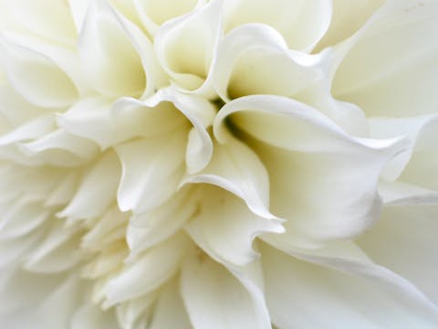 Healing: Breath, Heart, & Hand Connec...