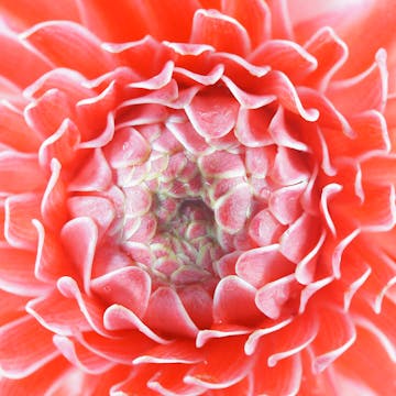 Patience: Breath & Diaphragm 