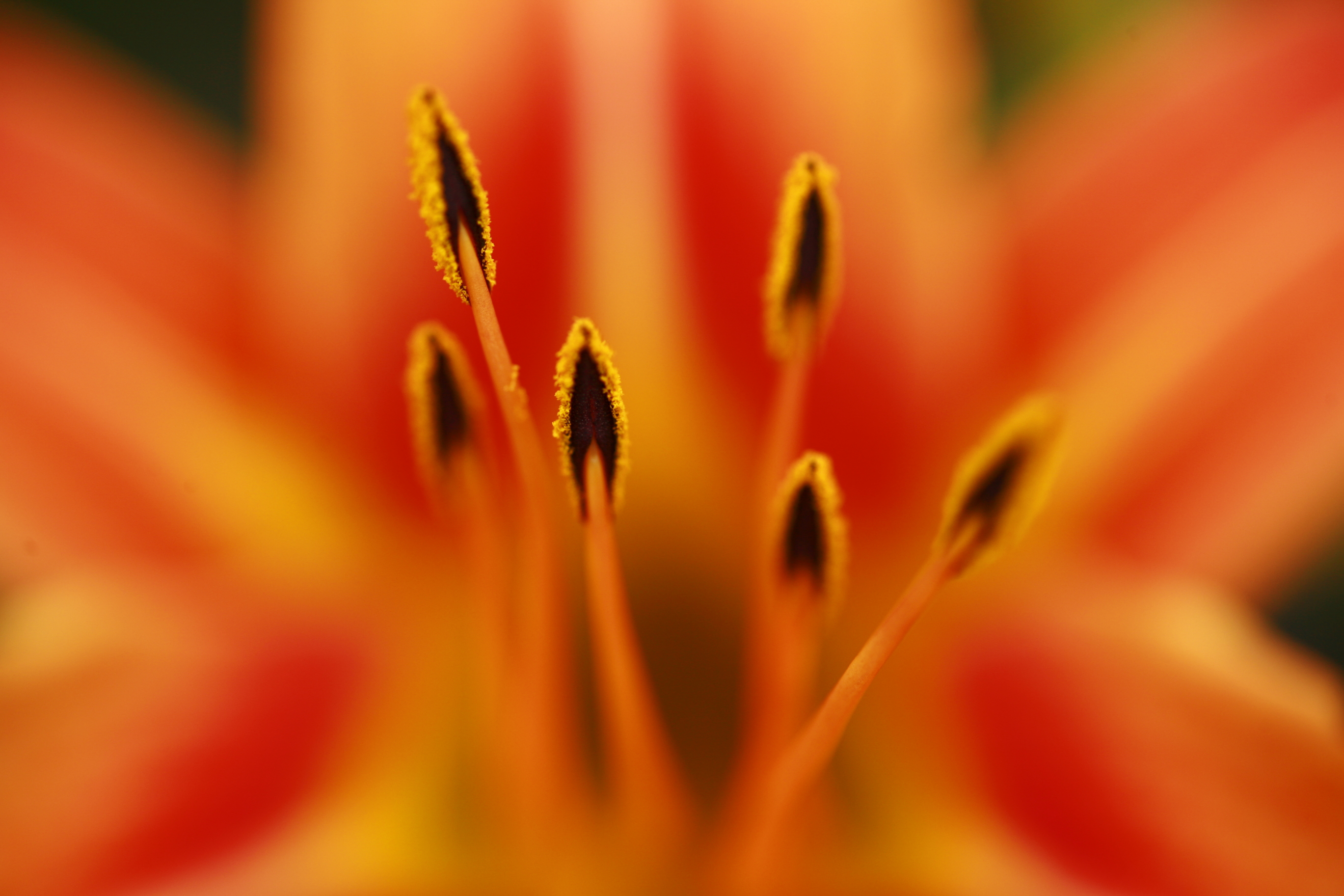 The Power of Now: Breath, Eyes, Heart 