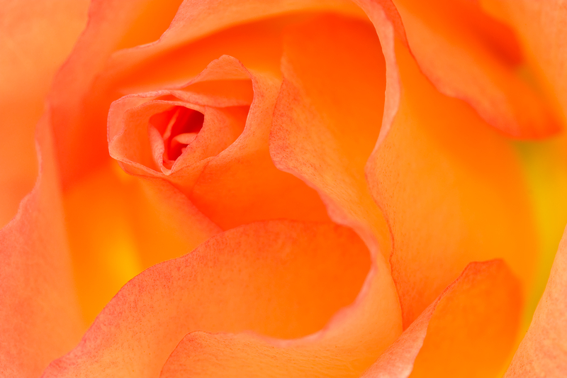 "The Center of the Movement" (Live Meditation)