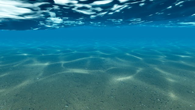 Stillness In The Movement: Breath, Lo...
