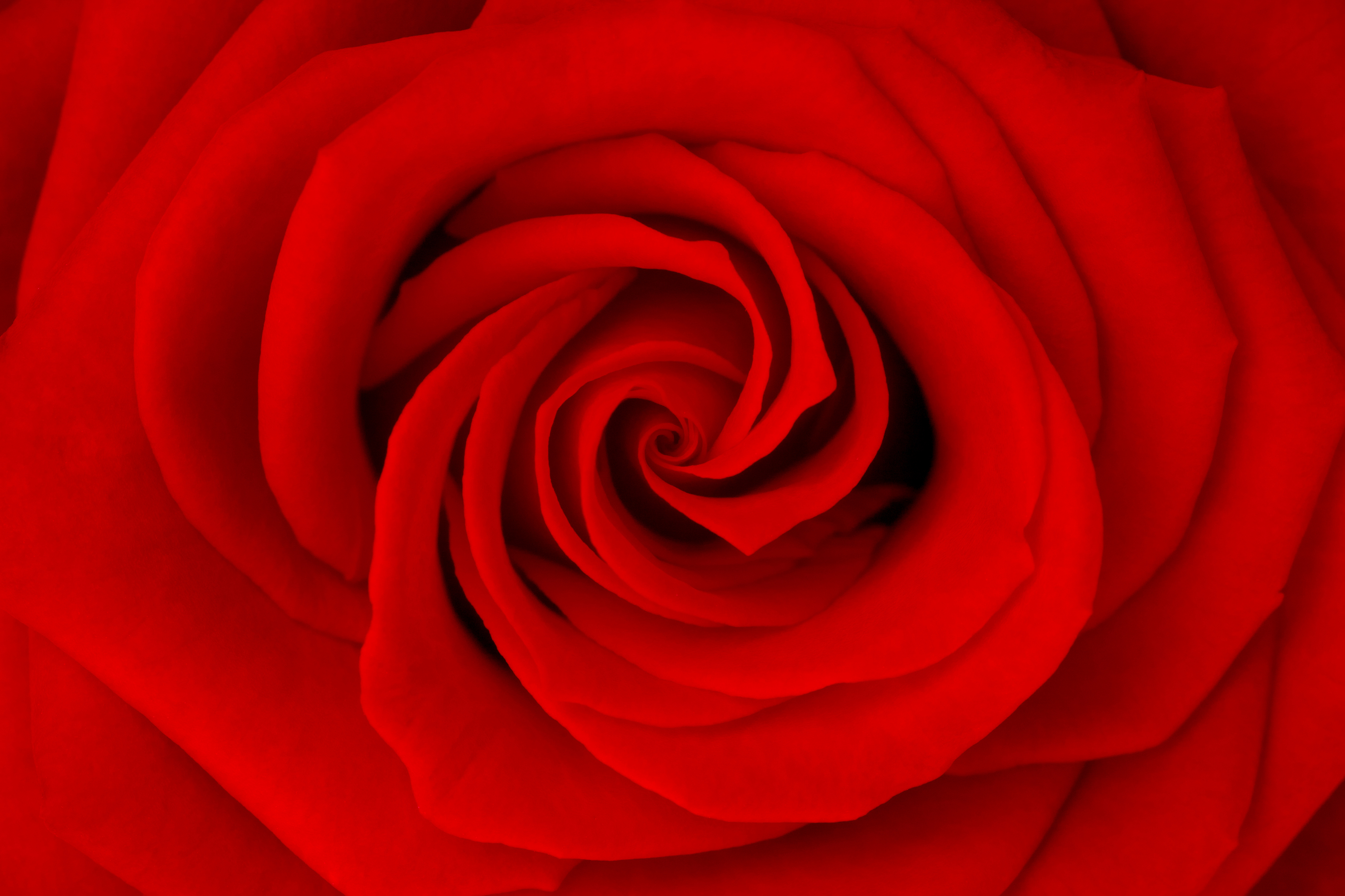 The Power of Attention: Breath, Third Eye & Heart 
