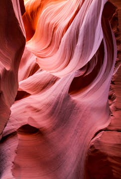 Body Scan: Soften & Melt into the Earth 