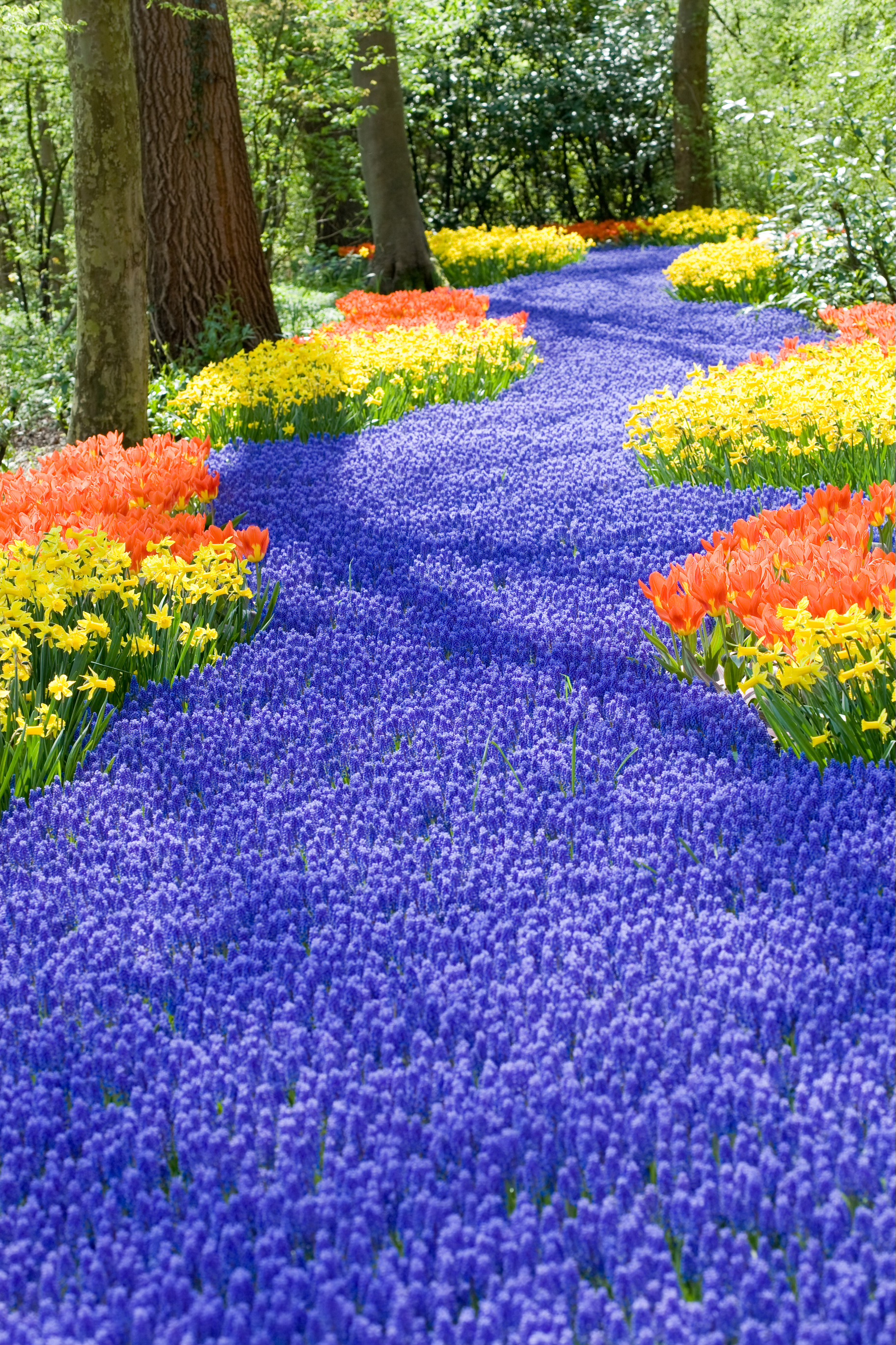 "Appreciation" (Live Meditation)