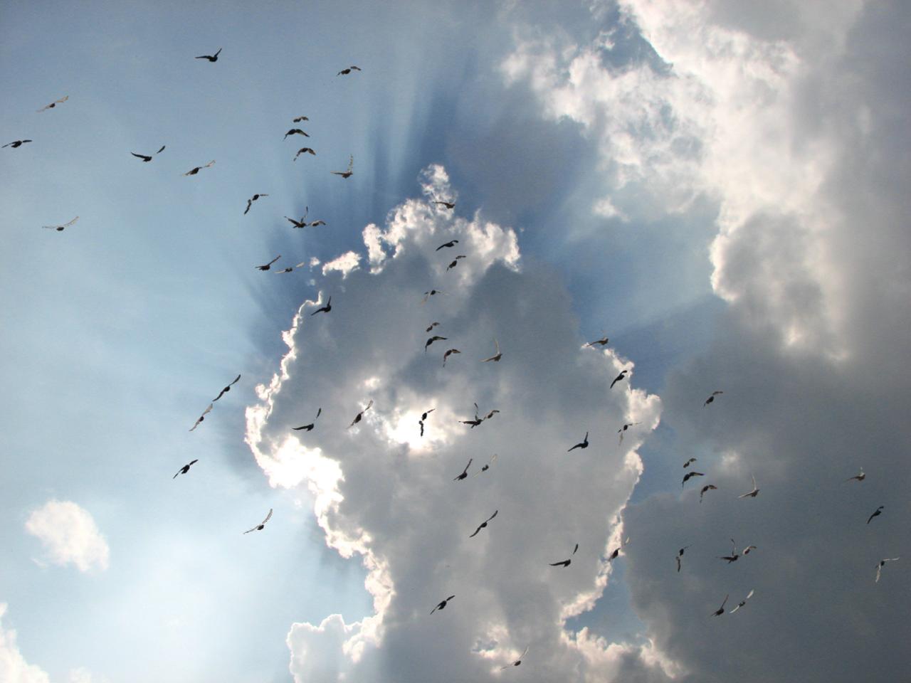 Space & Contact with Ki