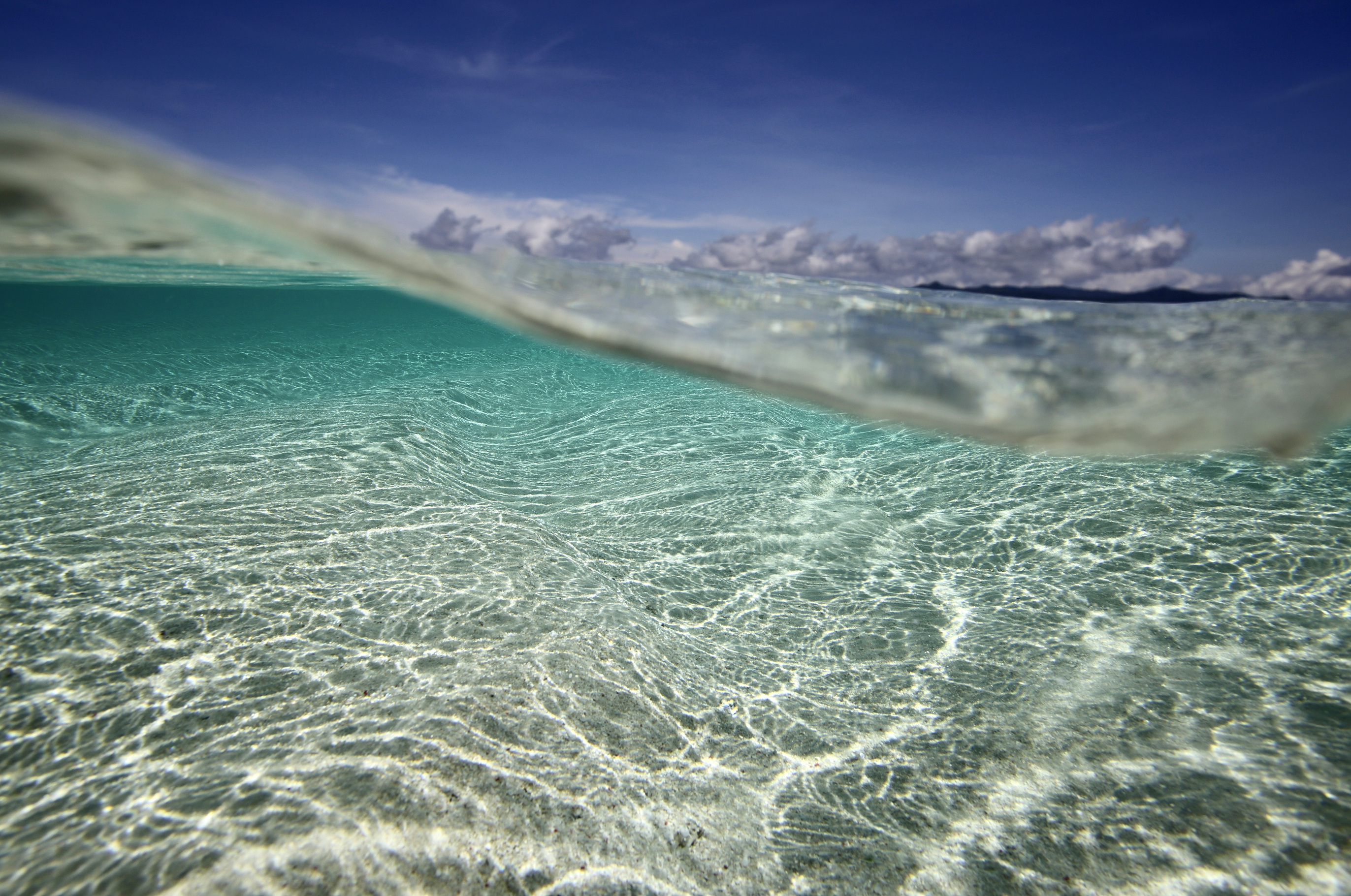 "The Movement of Your Breath" Live Meditation 