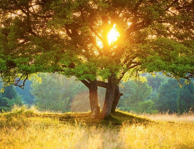 Receive What You Already Have & What Else You Want