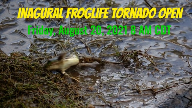 2021 Frog Life Tornado Open Trailer