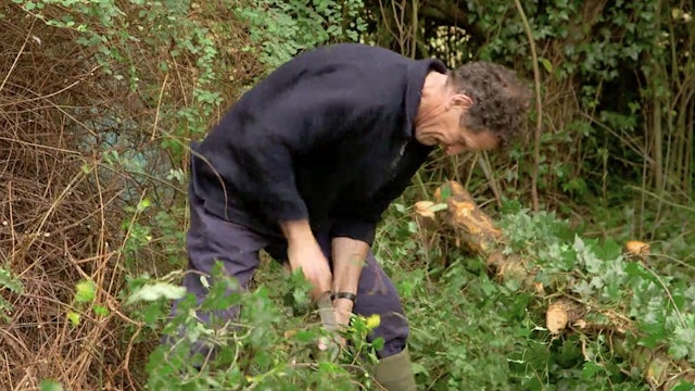Monty Don's Spring inspirations