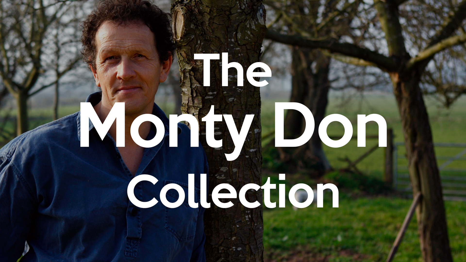 27a2da85 b561 45b0 8632 93fa24237e46 424b8205