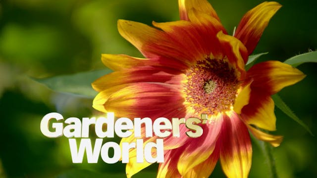 Gardeners' World - Series 6 - Episode 25