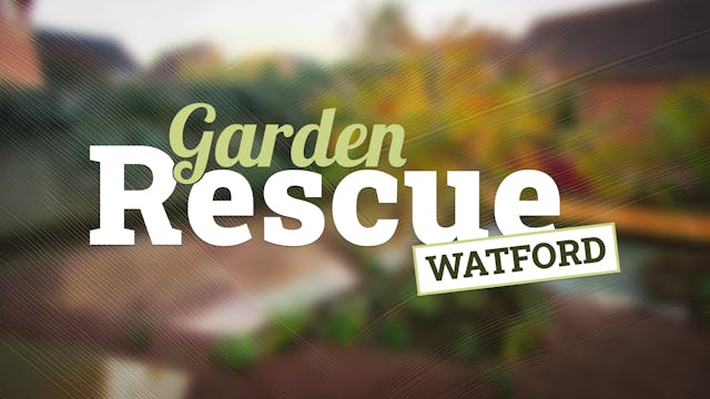 Garden Rescue | Watford