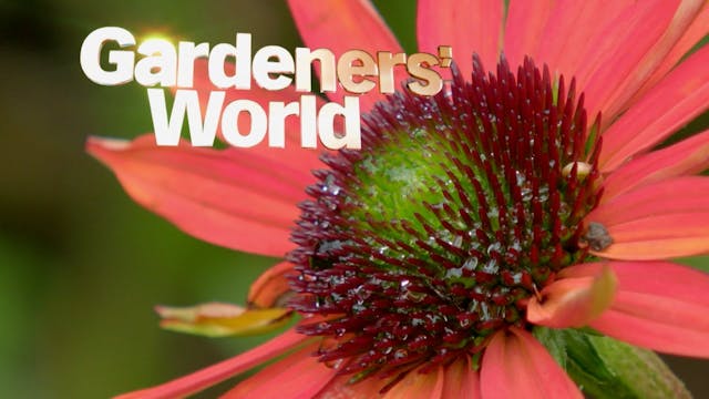 Gardeners' World - Series 6 - Episode 28