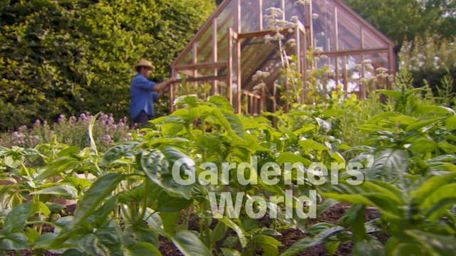 Gardeners' World - Greenhouse