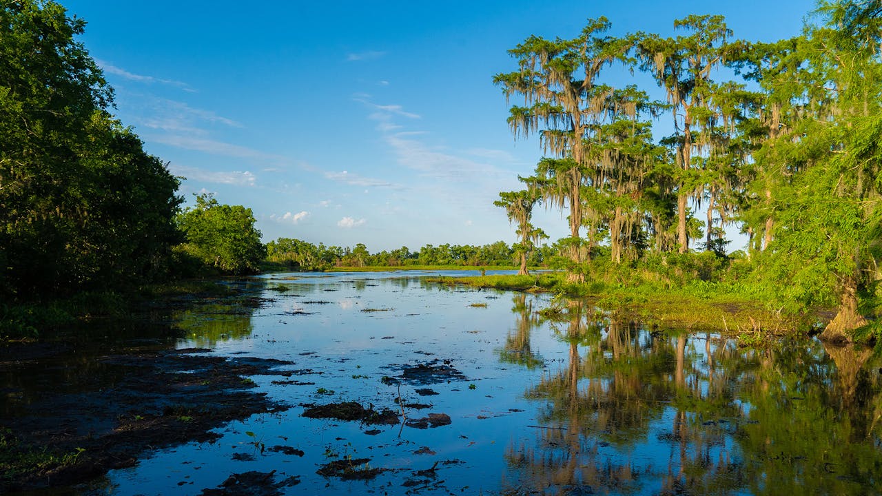 New Orleans Epic Exploring Going Local Season 1 Insight TV