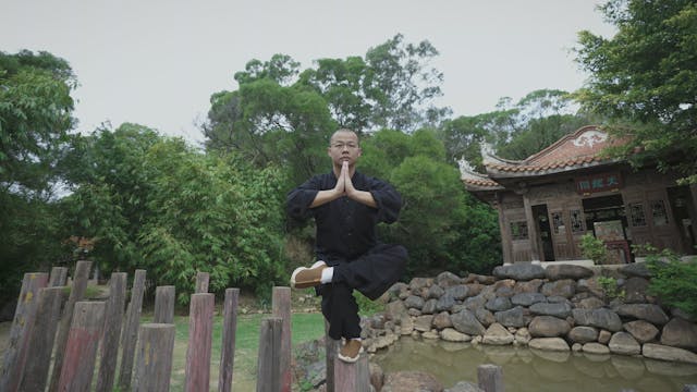 Kungfu-wise: Five Ancestors Fist
