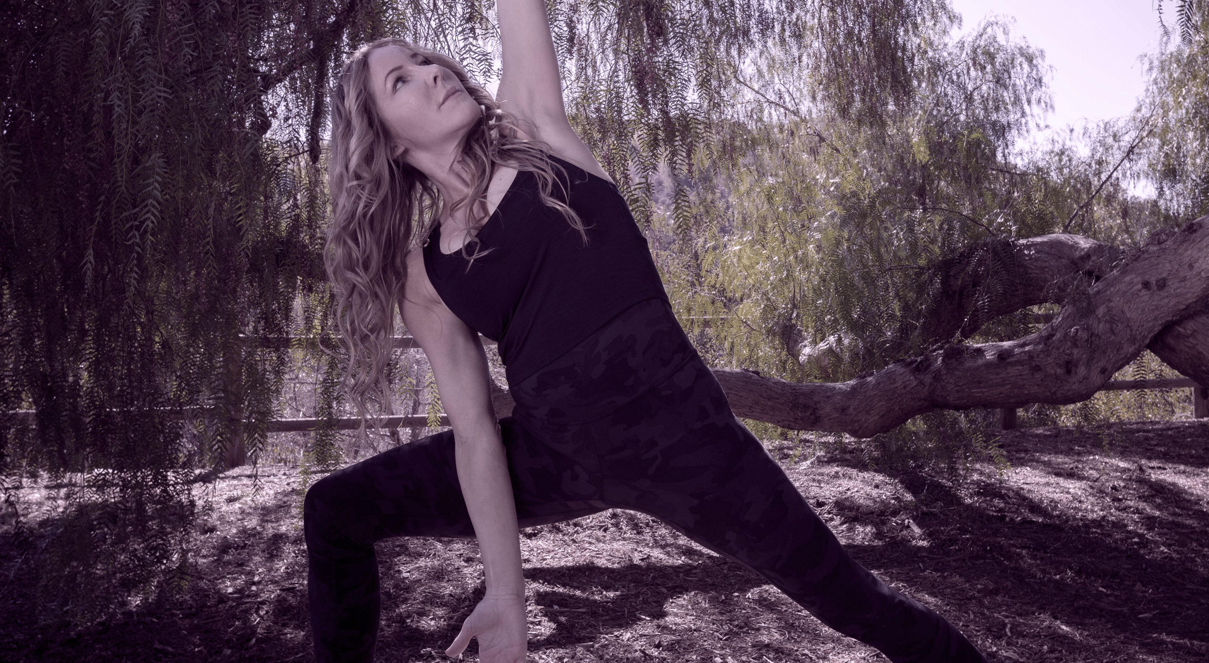 Trauma Informed Yoga Classes