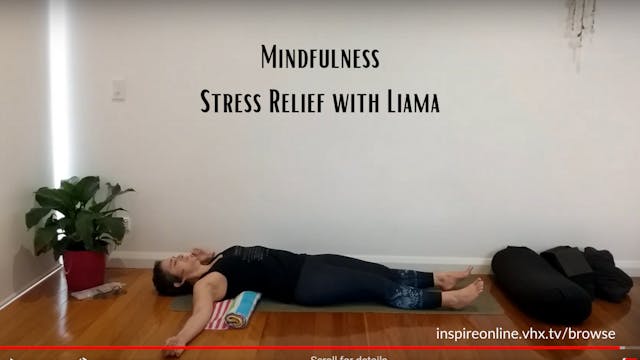 Enjoy this mindful stress relief class