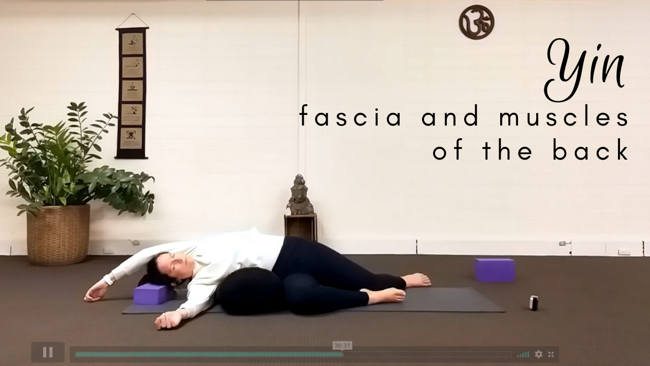 Fascia and Muscles of the Back