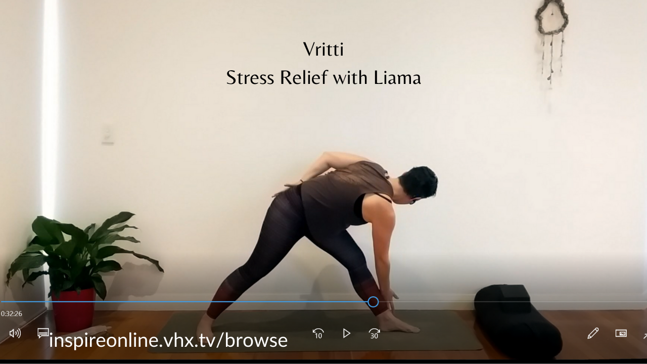 Vrittis (states of mind)