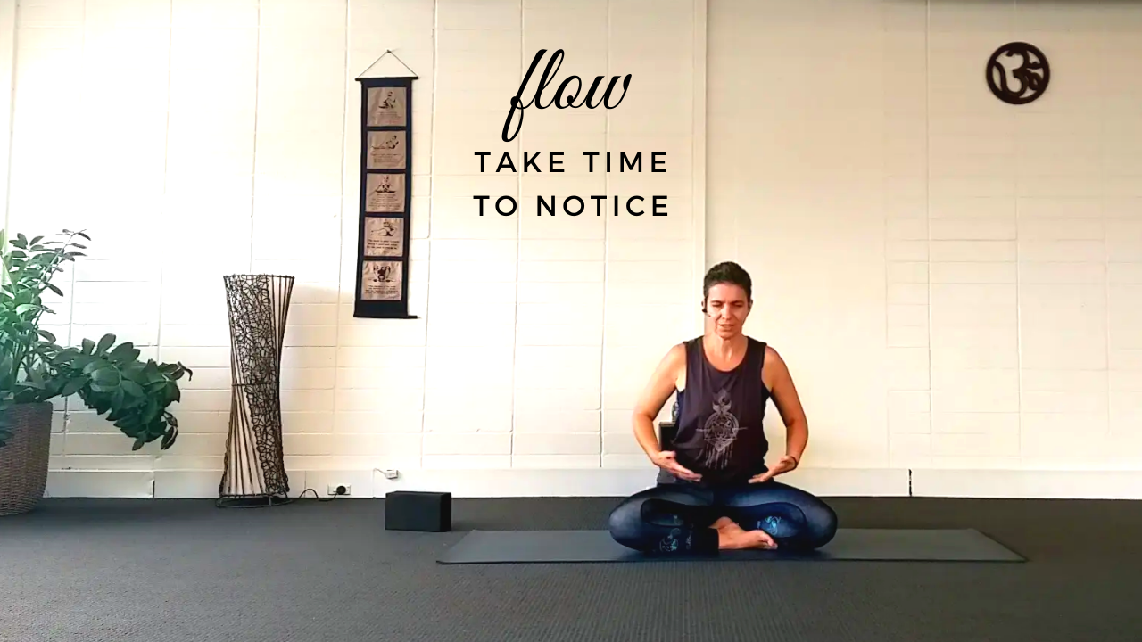 Take Time to Notice (30 Min)