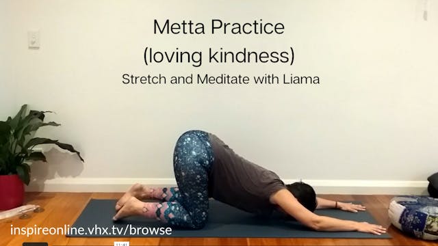 Stretch and Meditate