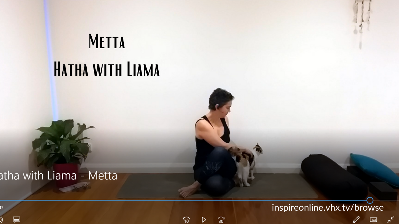 Metta Practice