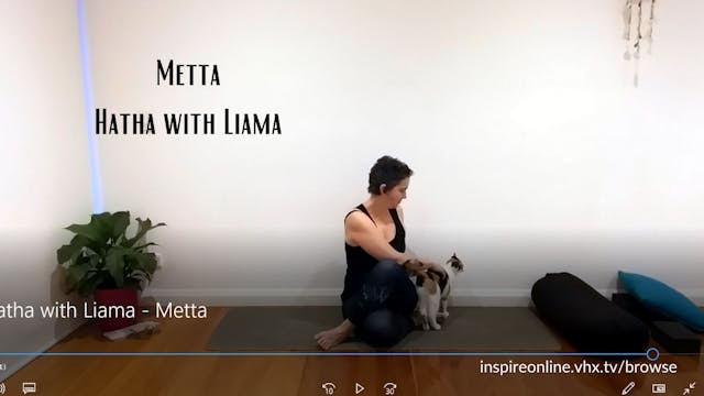 Metta Practice