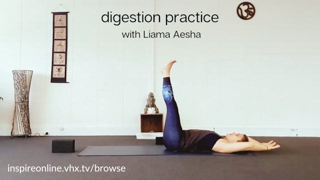 Digestion Practice