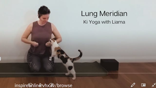 Lung Meridian 