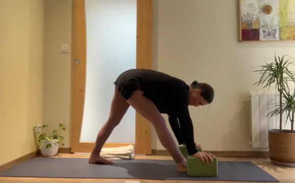 Eau - introspection et silence (hiver)