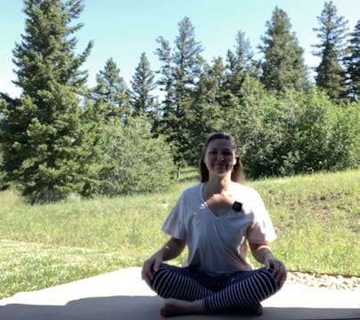 5 Éléments (médecine chinoise)