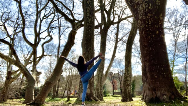 Yoga des saisons