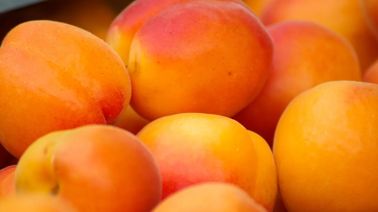 Demo Apricot and more Roadshow beta