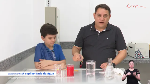 A Capilaridade da Água