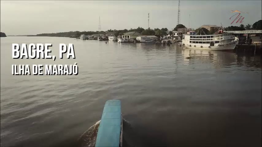 4ª Missão Amazônia - Bagre