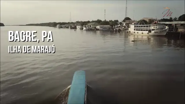 4ª Missão Amazônia - Bagre