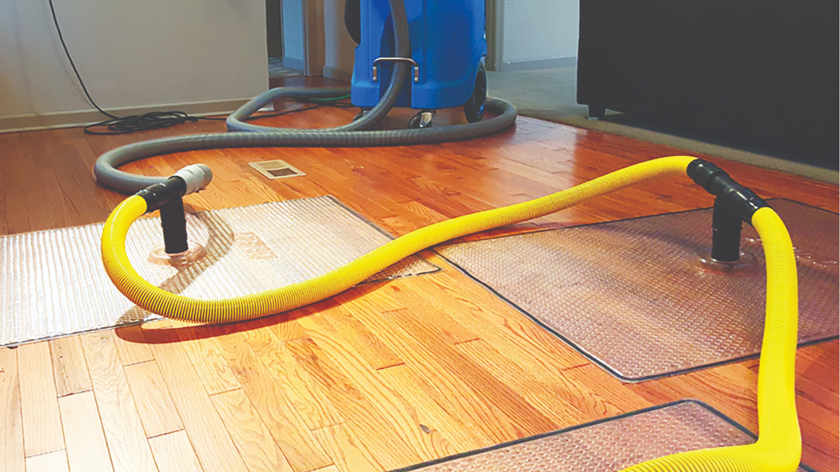 Water Mitigation - Specialty Drying: Wood Floors