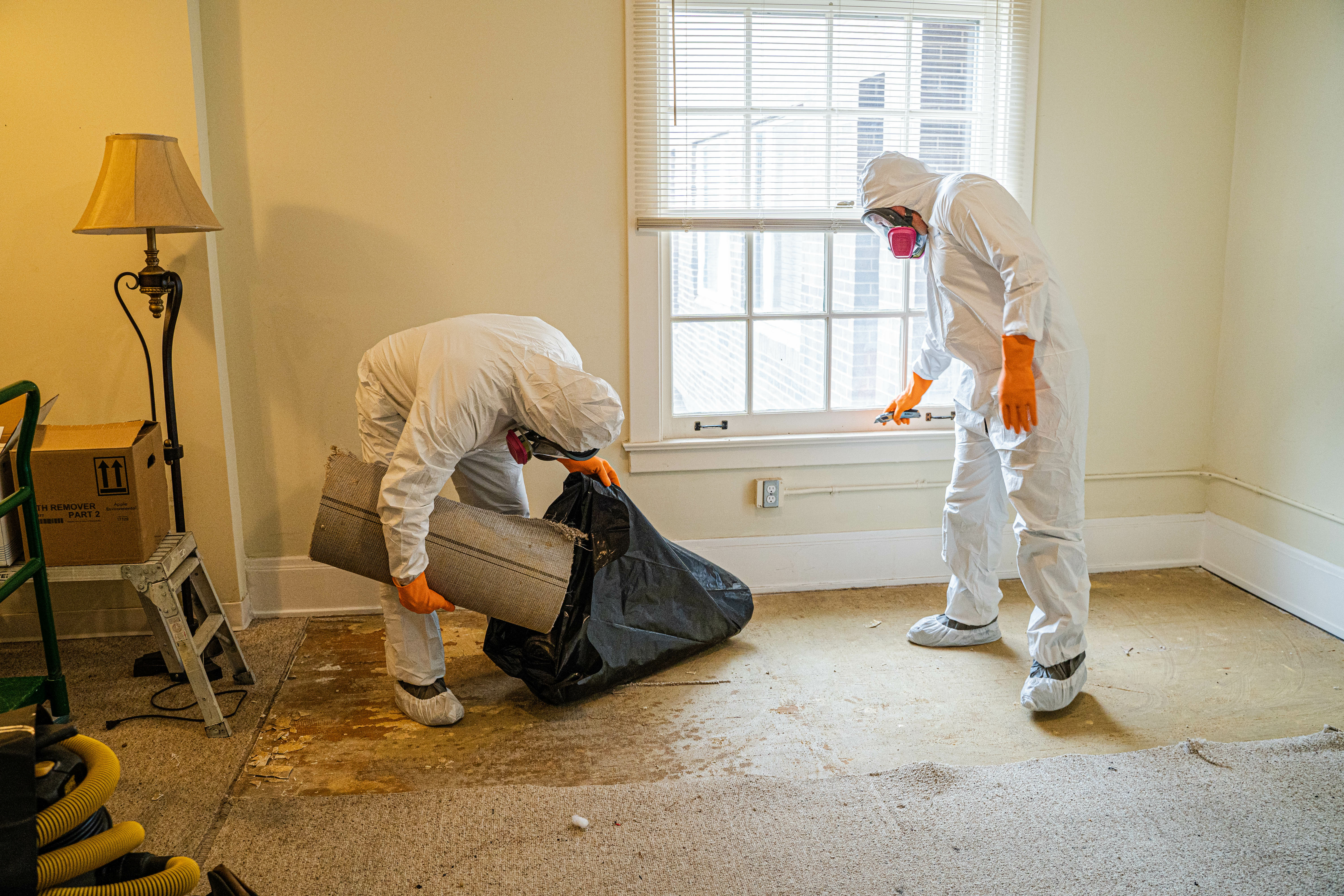 Mold Remediation - Cleanup & Removal