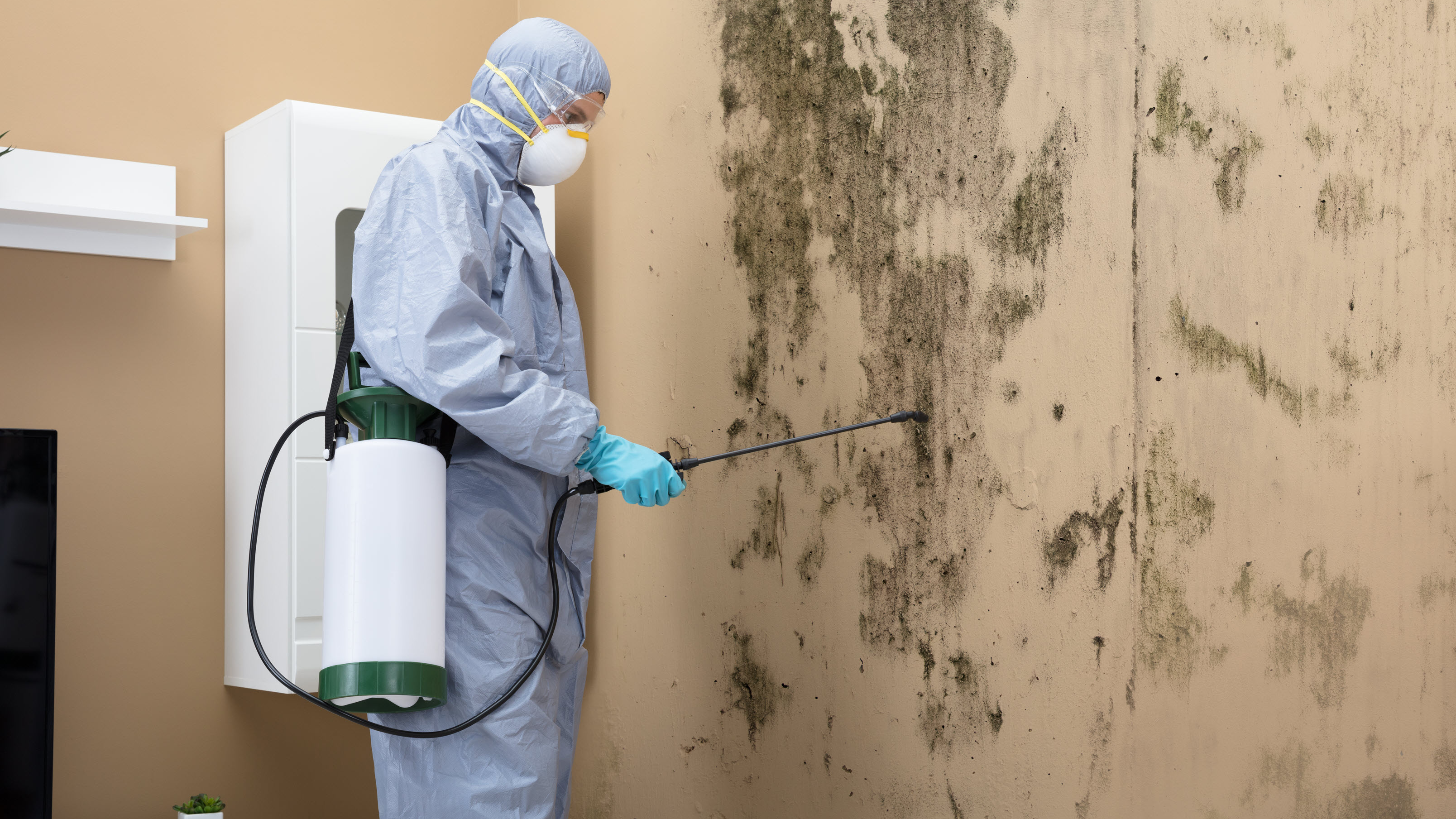 Mold Remediation - Chemicals, Paints, & Specialty Products