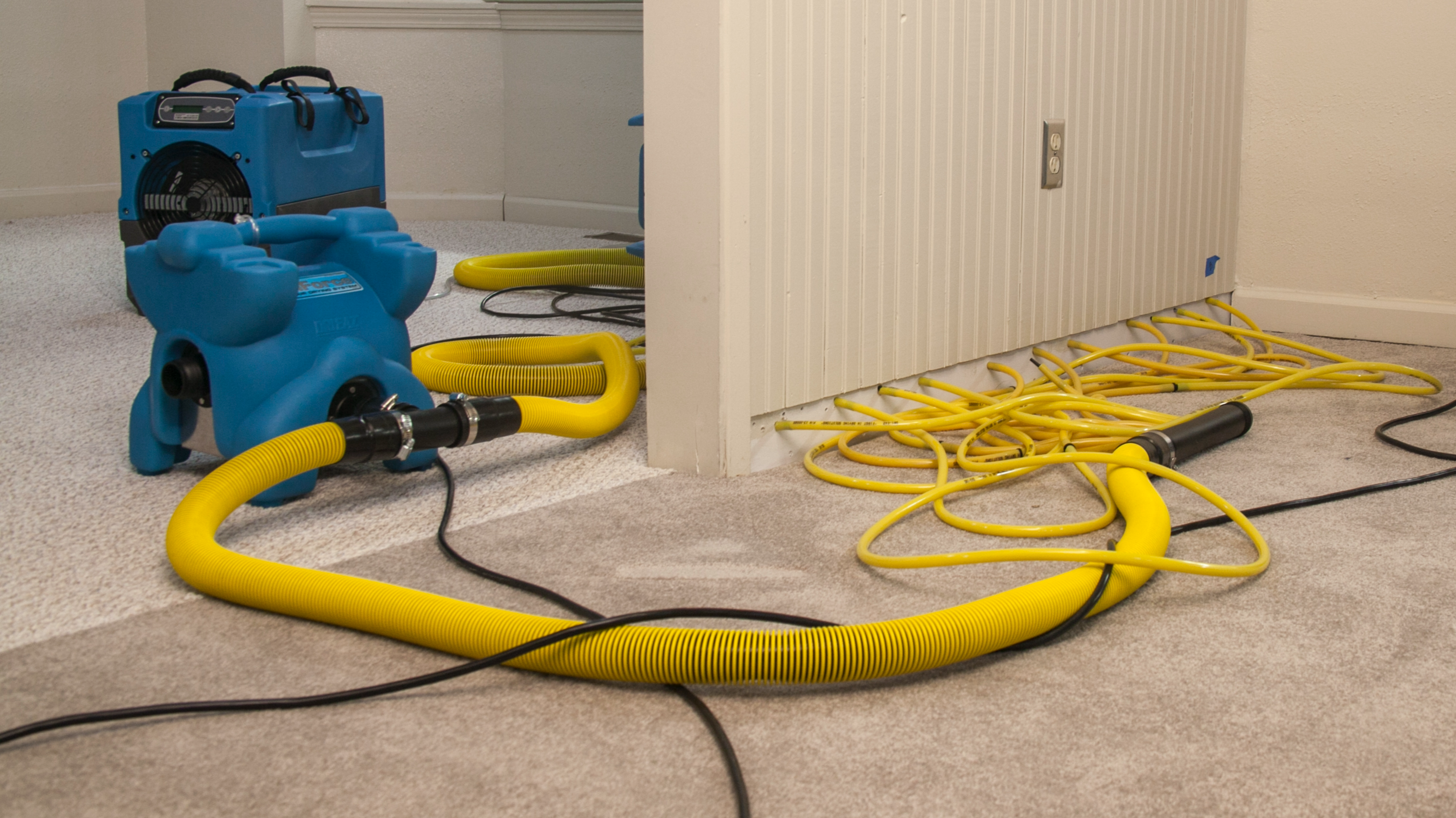 Water Mitigation - Specialty Drying: Cavities