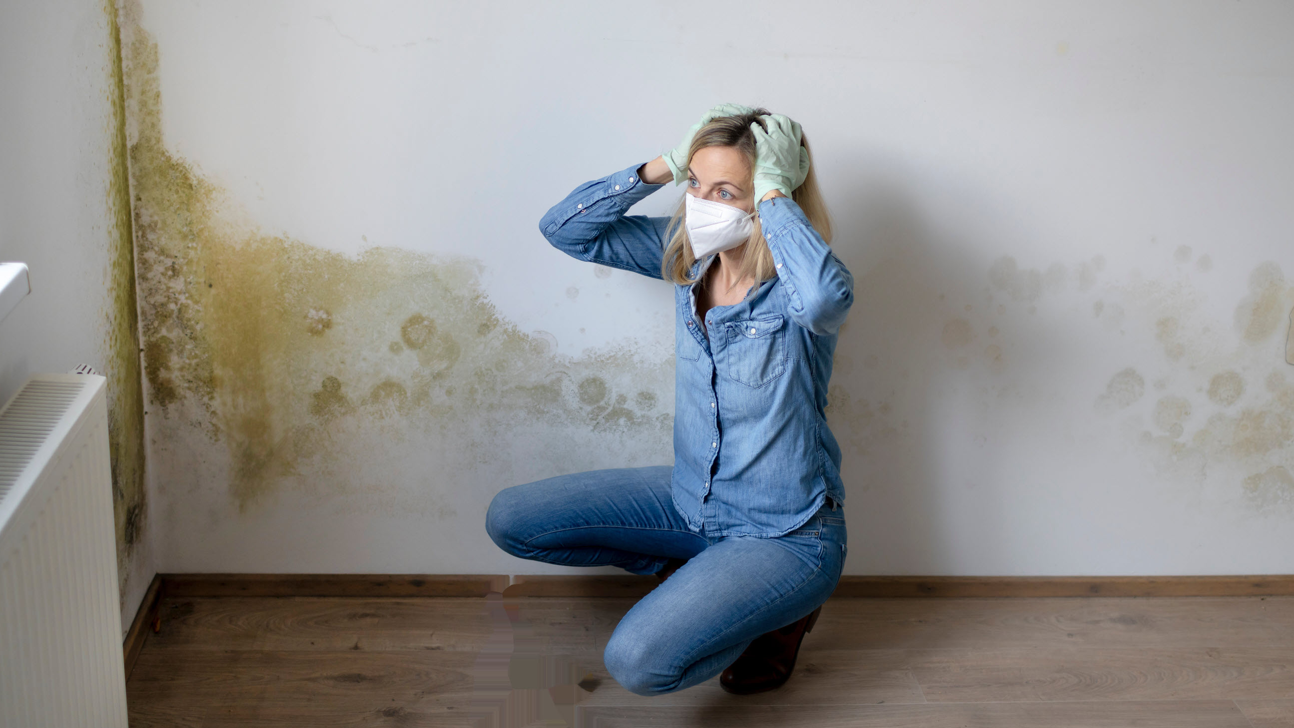 Mold Remediation - Worker & Occupant Safety