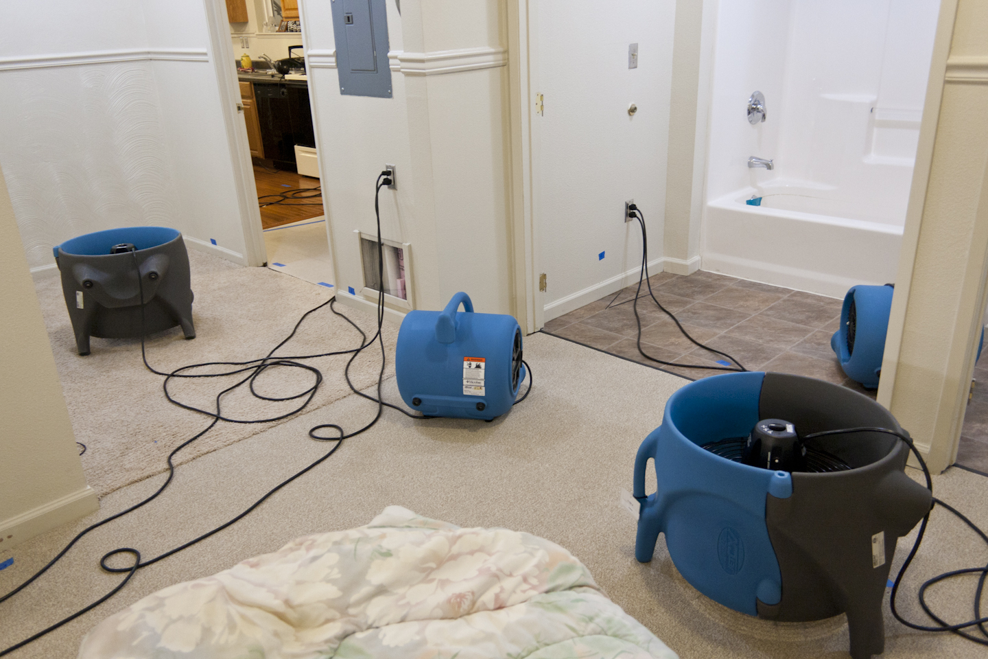 Water Mitigation-Air Movement